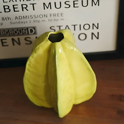 Artisan Gefertigter Keramik Sternfrucht Blütenvase - Auffälliges Dekoratives Wohnaccessoire