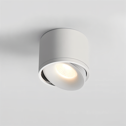 CylinFlex Spotlights - Minimalistische 360° drehbare LED-Downlights