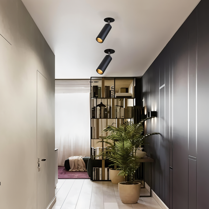 CylindraBright Spotlights - Schwarze und Weiße LED Decken-Einbauleuchten