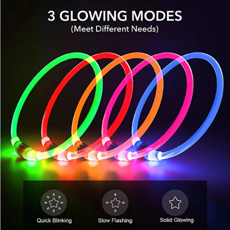 Leuchtendes Hundehalsband, USB-Wiederaufladbares LED-Leuchtendes Halsband für Nachtsicherheit, abnehmbares leuchtendes Haustierzubehör