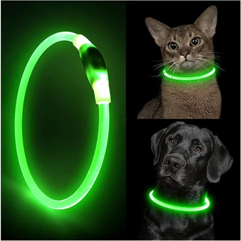 Leuchtendes Hundehalsband, USB-Wiederaufladbares LED-Leuchtendes Halsband für Nachtsicherheit, abnehmbares leuchtendes Haustierzubehör