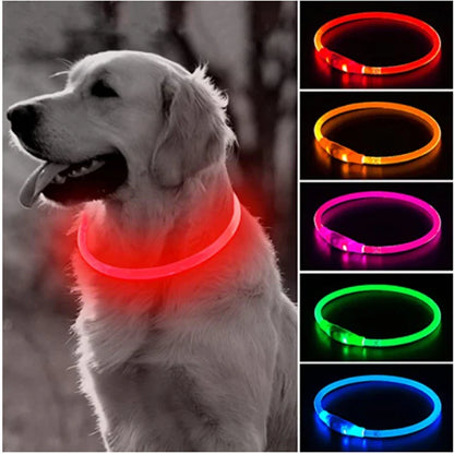 Leuchtendes Hundehalsband, USB-Wiederaufladbares LED-Leuchtendes Halsband für Nachtsicherheit, abnehmbares leuchtendes Haustierzubehör