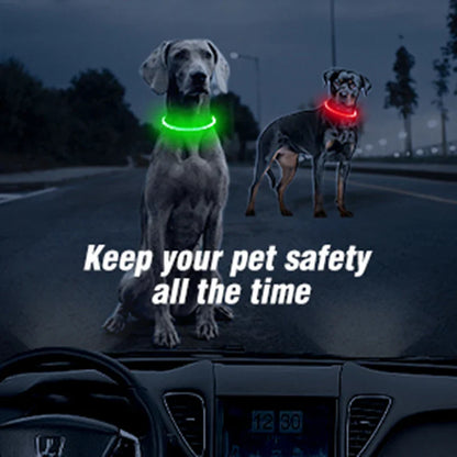 Leuchtendes Hundehalsband, USB-Wiederaufladbares LED-Leuchtendes Halsband für Nachtsicherheit, abnehmbares leuchtendes Haustierzubehör