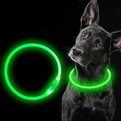 Leuchtendes Hundehalsband, USB-Wiederaufladbares LED-Leuchtendes Halsband für Nachtsicherheit, abnehmbares leuchtendes Haustierzubehör