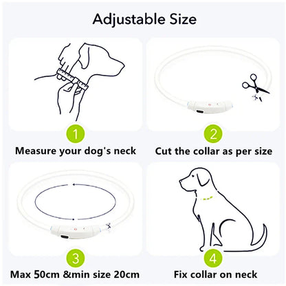 Leuchtendes Hundehalsband, USB-Wiederaufladbares LED-Leuchtendes Halsband für Nachtsicherheit, abnehmbares leuchtendes Haustierzubehör