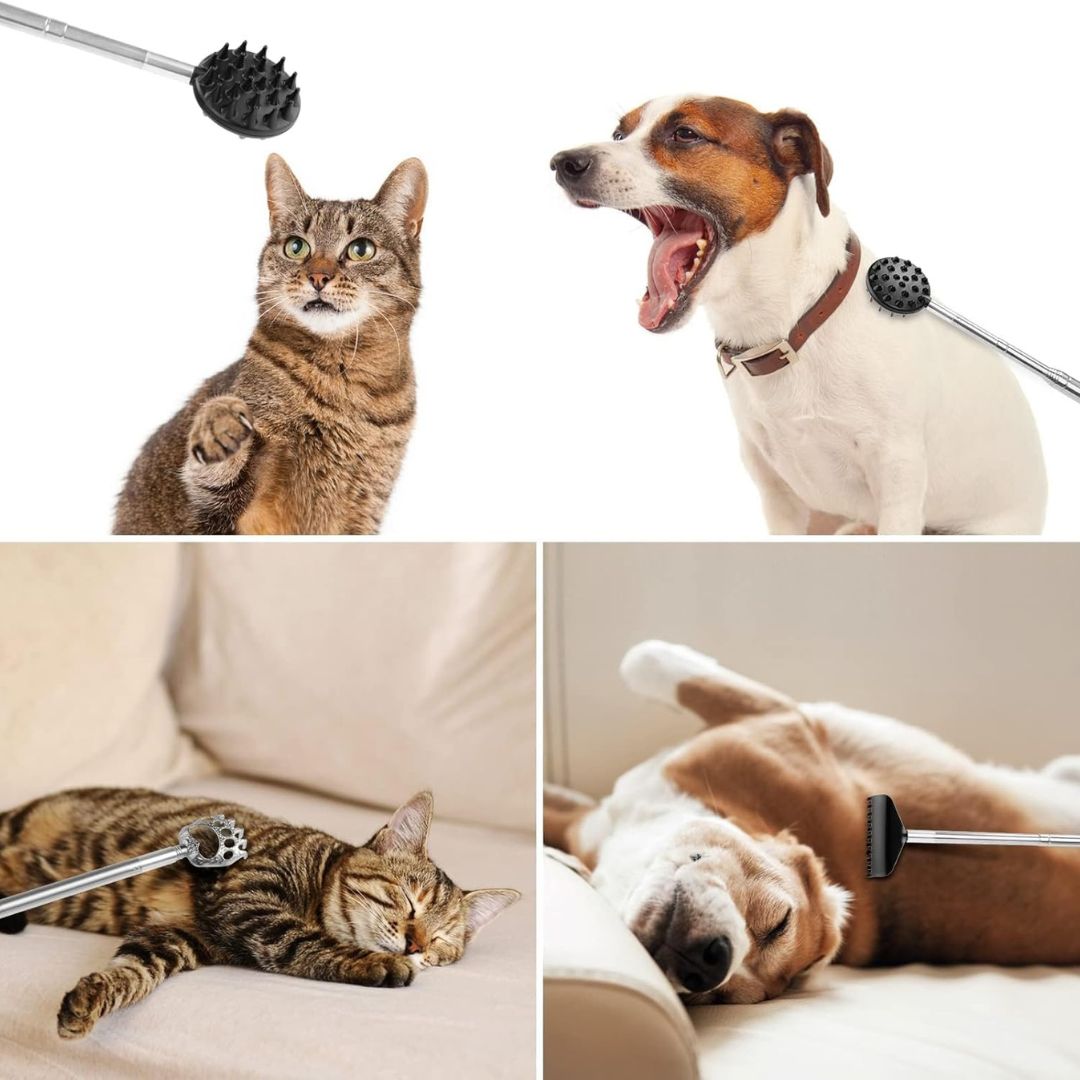 Teleskopischer Rückenkratzer