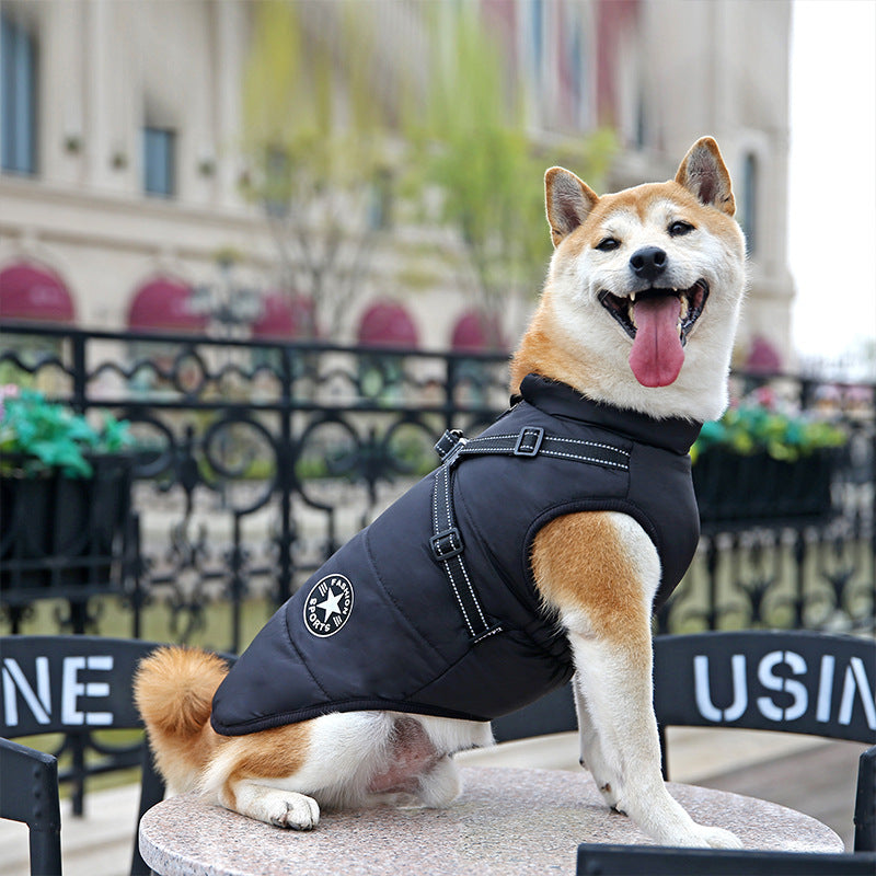 Wind- und wasserdichte Jacke für Hunde mit Geschirr