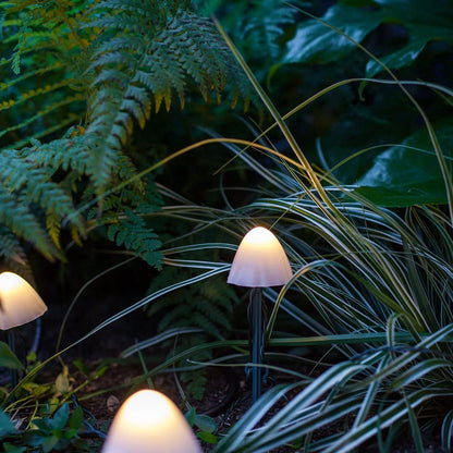 LED Solar Pilze
