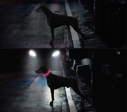 Leuchtendes LED-Halsband wiederaufladbar für Hunde | GlowPup