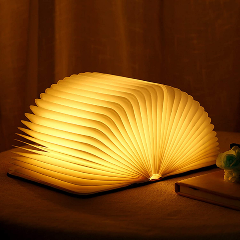 Garduru Buch Lampe