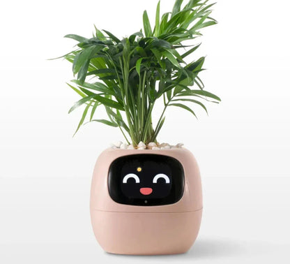 Smart Planter mit AI-Sensoren | SmartGrow