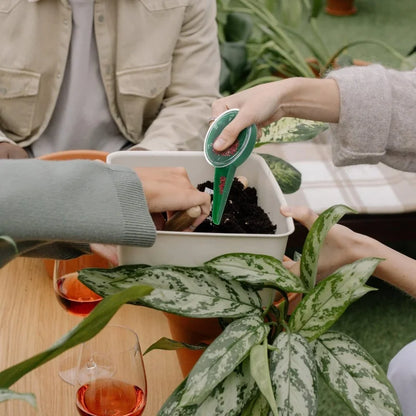 Verstellbarer Samenstreuer – Präziser Gartensamenverteiler für einfache Anwendung