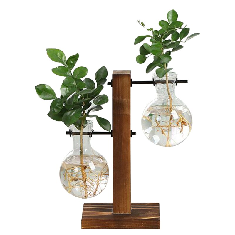 Vintage Glas Terrarium: Kreative Eleganz