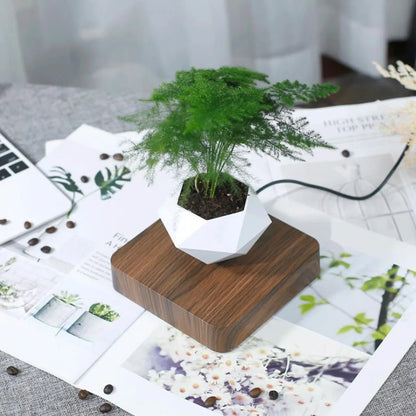 Schwebender Luft-Bonsai-Topf – Magnetischer schwebender Pflanzer für stilvolle Innenbegrünung