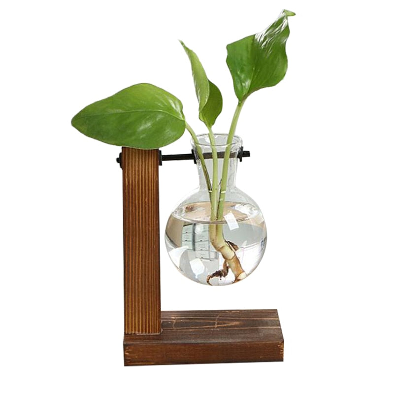 Vintage Glas Terrarium: Kreative Eleganz