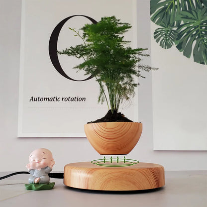 Schwebender Luft-Bonsai-Topf – Magnetischer schwebender Pflanzer für stilvolle Innenbegrünung