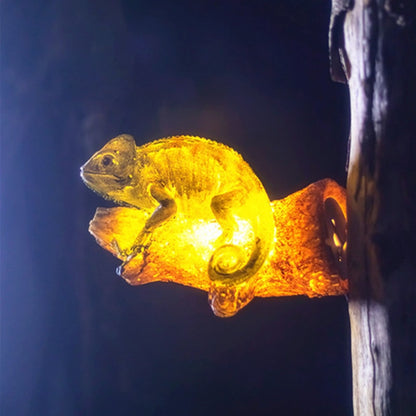 LED-Leuchten verschönern Landschaften