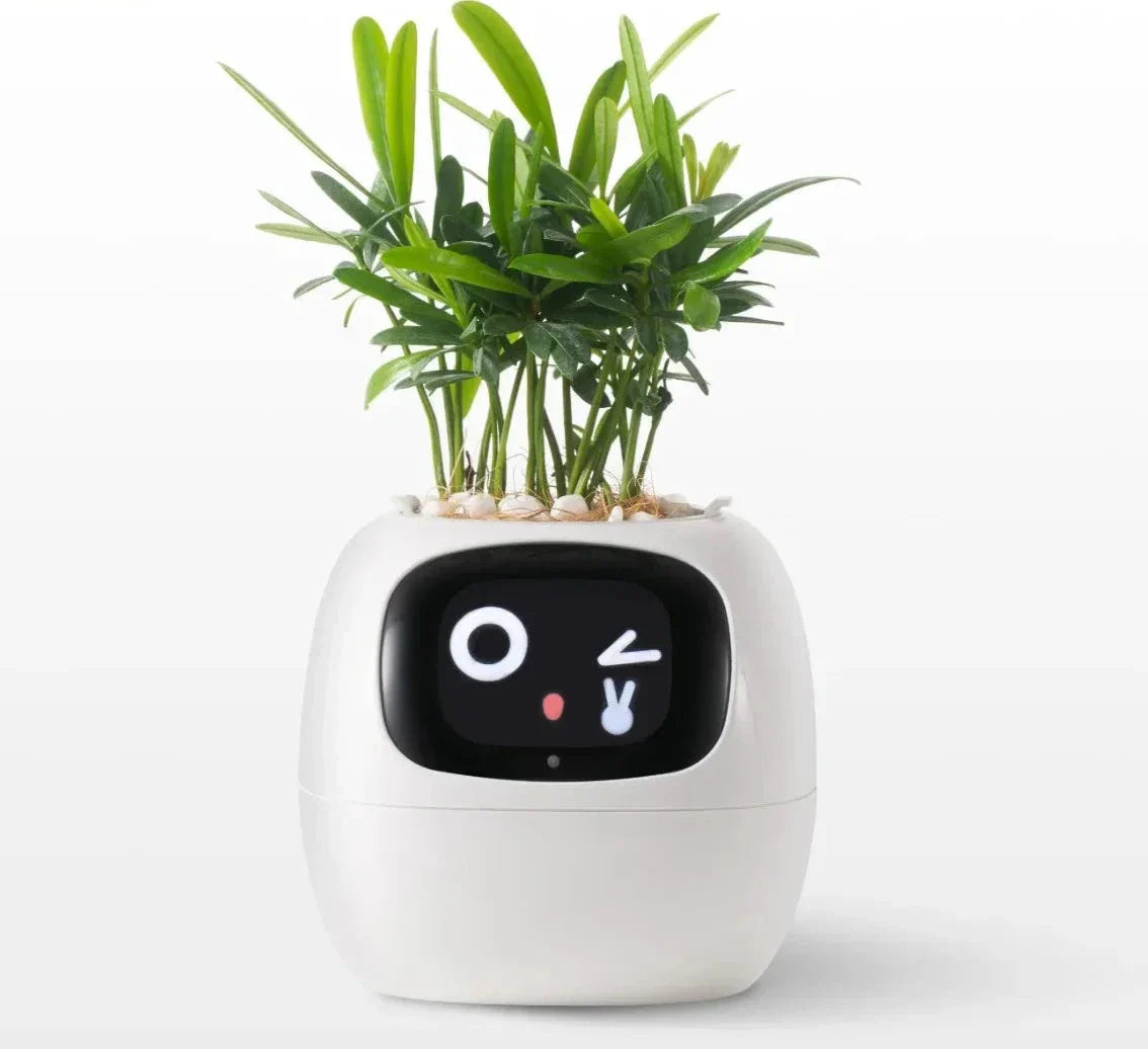 Smart Planter mit AI-Sensoren | SmartGrow