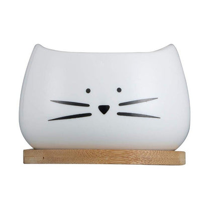 White Cat Flower Pot 4 Inches Lovely Golden Beard Cat Head Ceramic Creative European Garden Potted Office Desktop Decoration