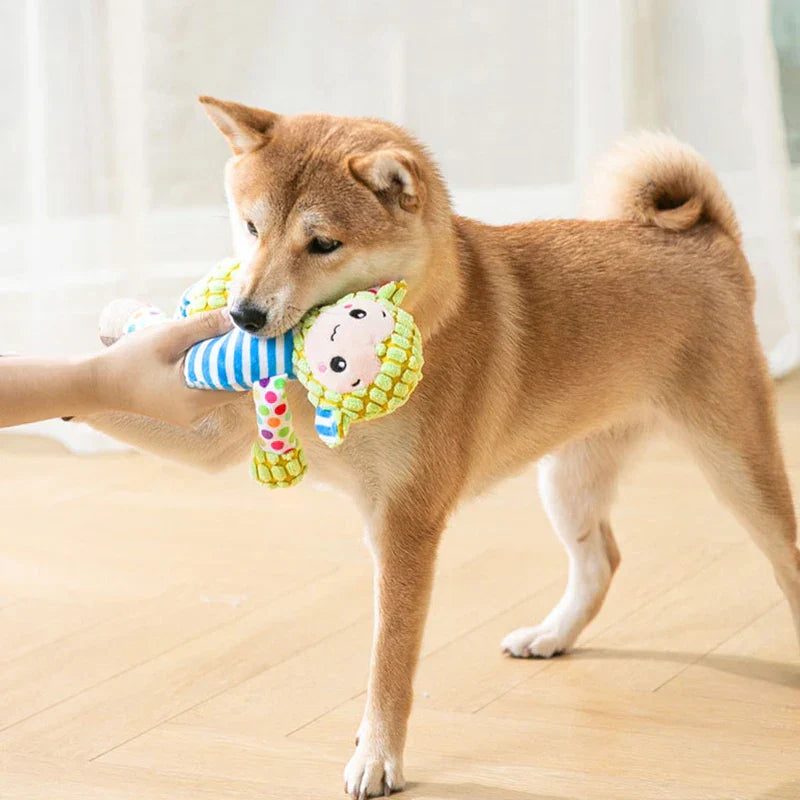 Garduru - Lustiges und langlebiges Hundespielzeug in bunten Farben