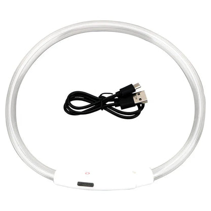 Leuchtendes Hundehalsband, USB-Wiederaufladbares LED-Leuchtendes Halsband für Nachtsicherheit, abnehmbares leuchtendes Haustierzubehör