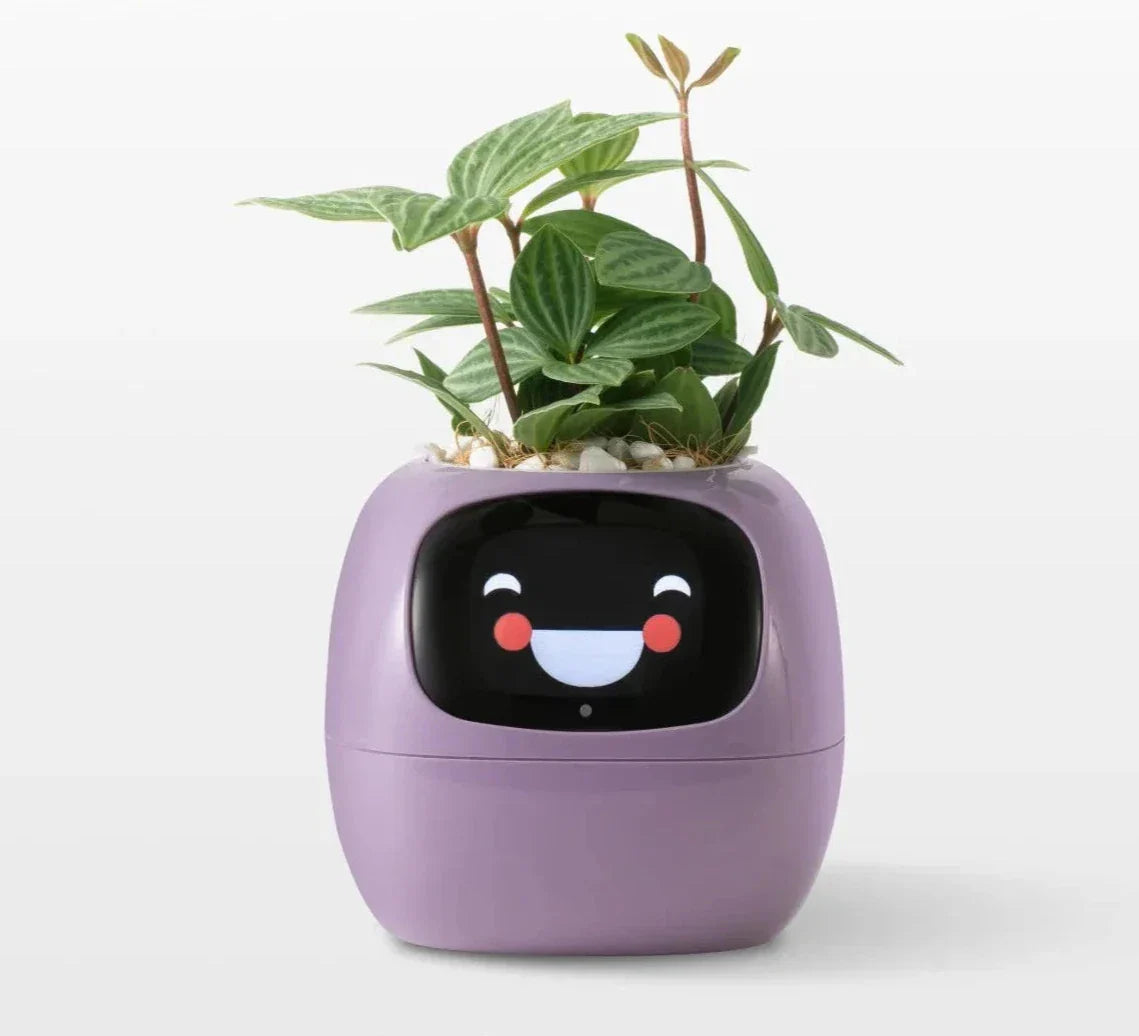 Smart Planter mit AI-Sensoren | SmartGrow