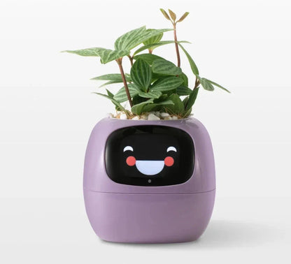 Smart Planter mit AI-Sensoren | SmartGrow