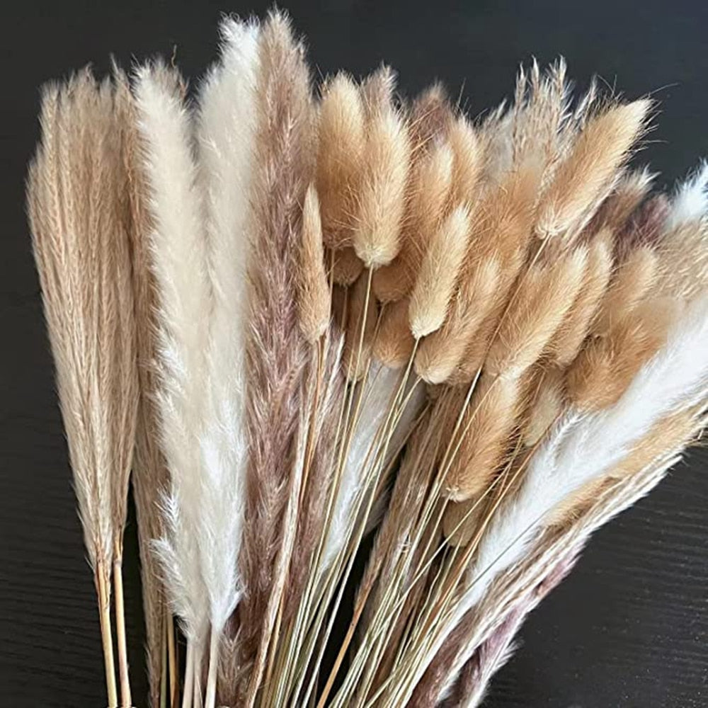 100 stück/Lot Pampas Set Flauschigen Natürliche Getrocknete Blumen