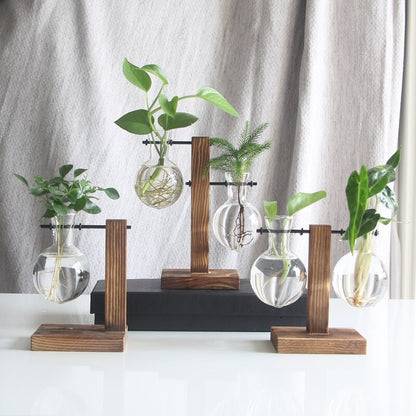 Vintage Glas Terrarium: Kreative Eleganz