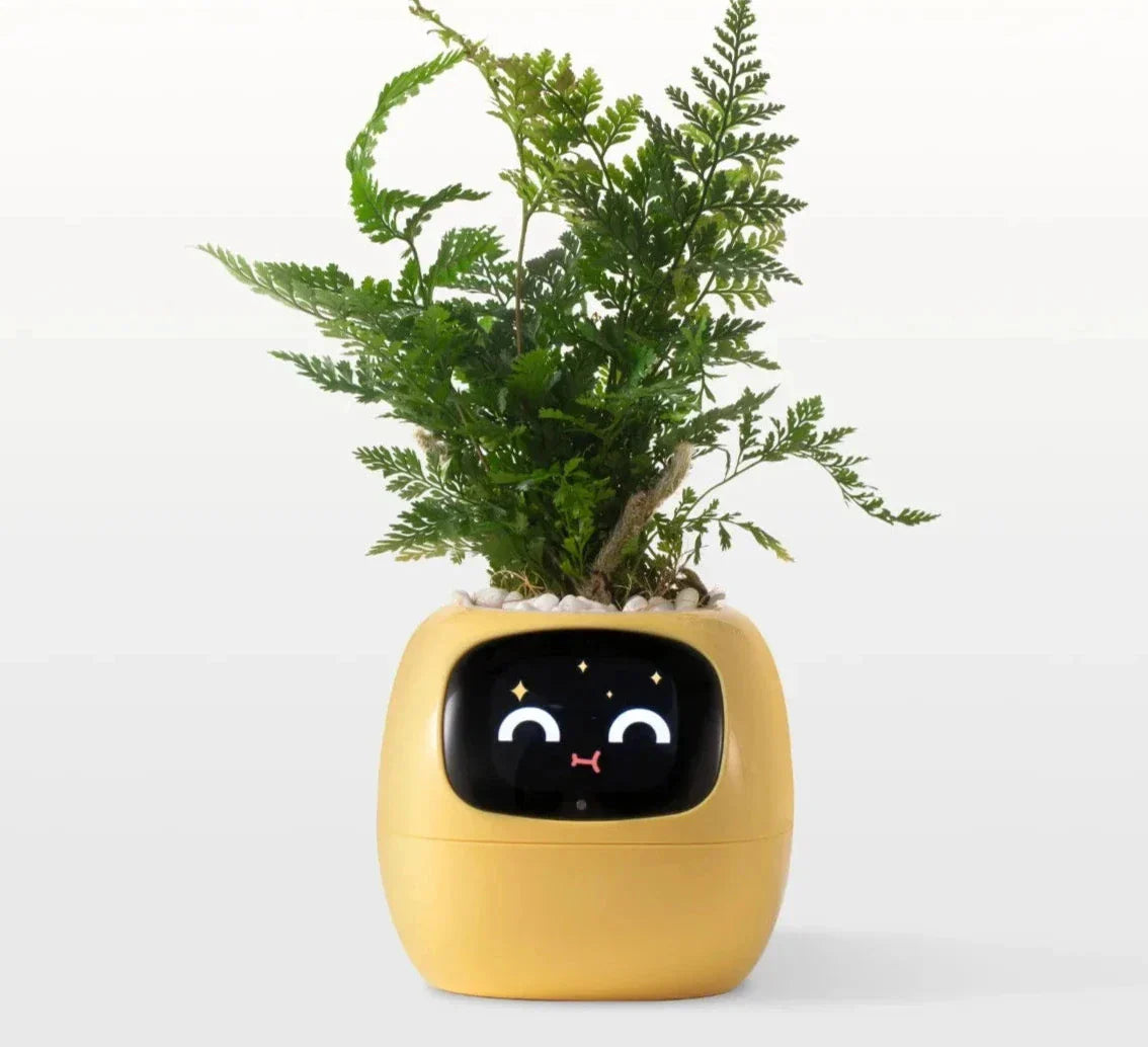 Smart Planter mit AI-Sensoren | SmartGrow