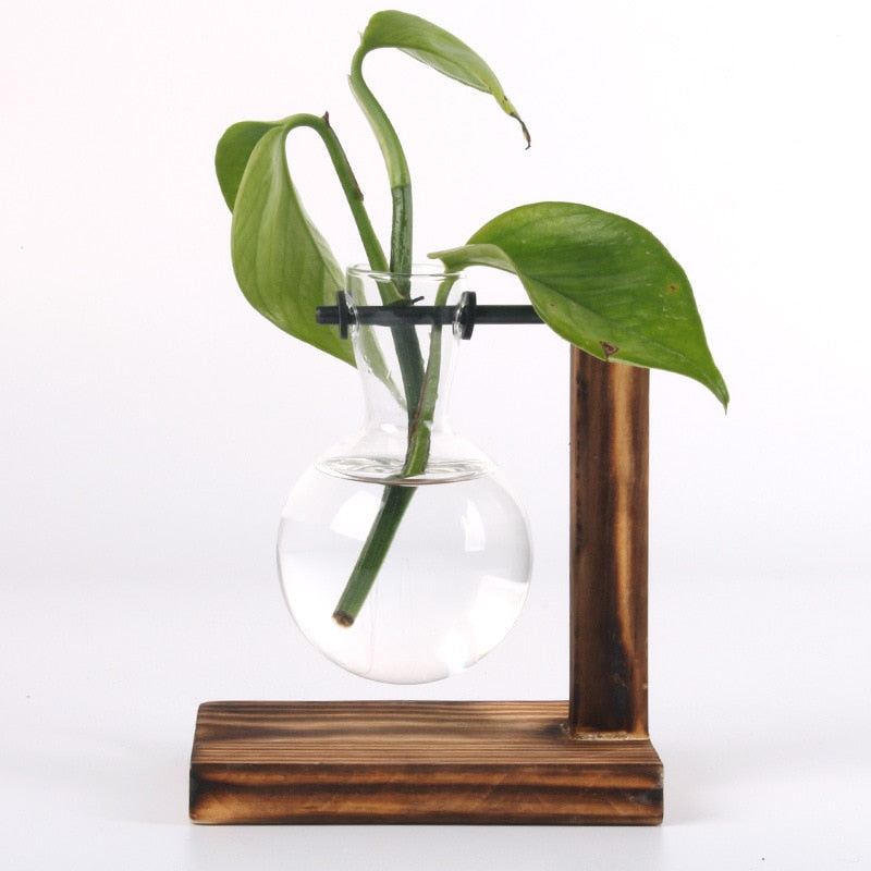 Vintage Garden - Holzrahmen-Terrarium Hydroponische Pflanzenvase