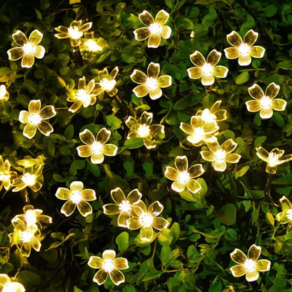 Solar Kirschblüten Lichterkette