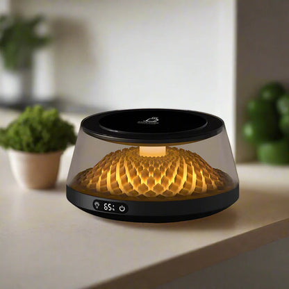 Royaleva USB Kaffeetassenwärmer – 4 Temperatureinstellungen, thermostatischer Untersetzer für Zuhause und Büro