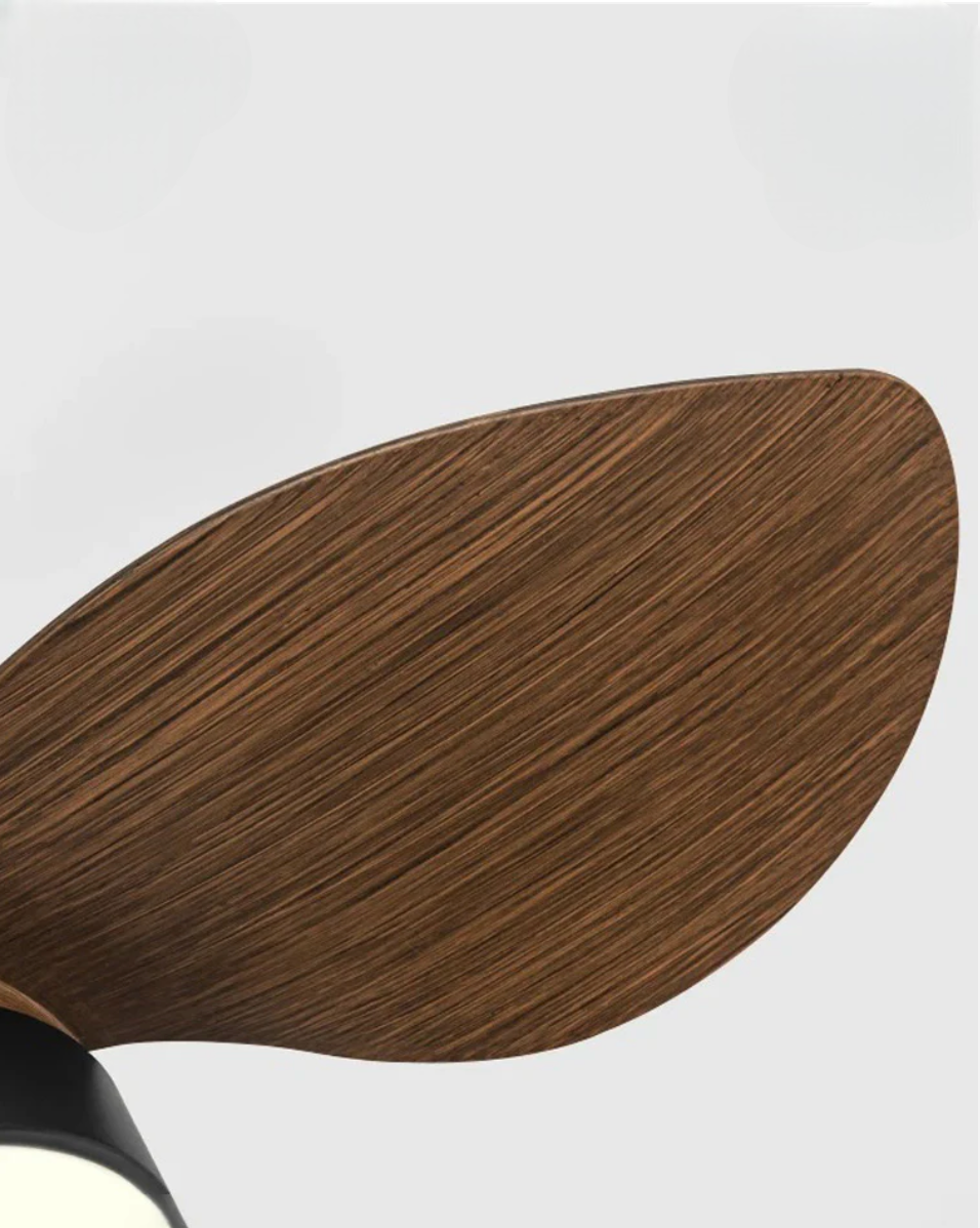 Trailblazer 18 Deckenventilatorlicht