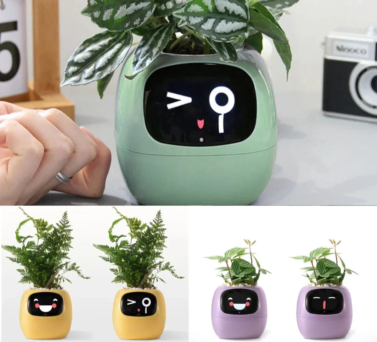 Smart Planter mit AI-Sensoren | SmartGrow