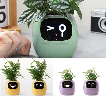 Smart Planter mit AI-Sensoren | SmartGrow