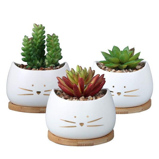 White Cat Flower Pot 4 Inches Lovely Golden Beard Cat Head Ceramic Creative European Garden Potted Office Desktop Decoration