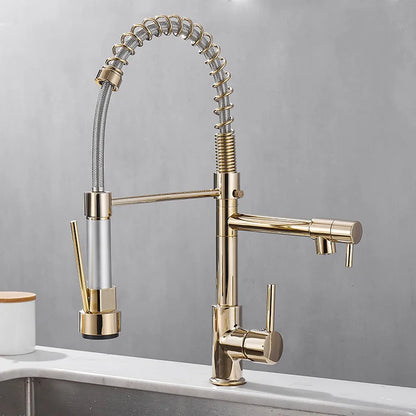 Luxus Küchenarmatur mit Doppelstrahl | AquaElite
