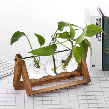 Hydroponischer Blumentopf mit Holztablett