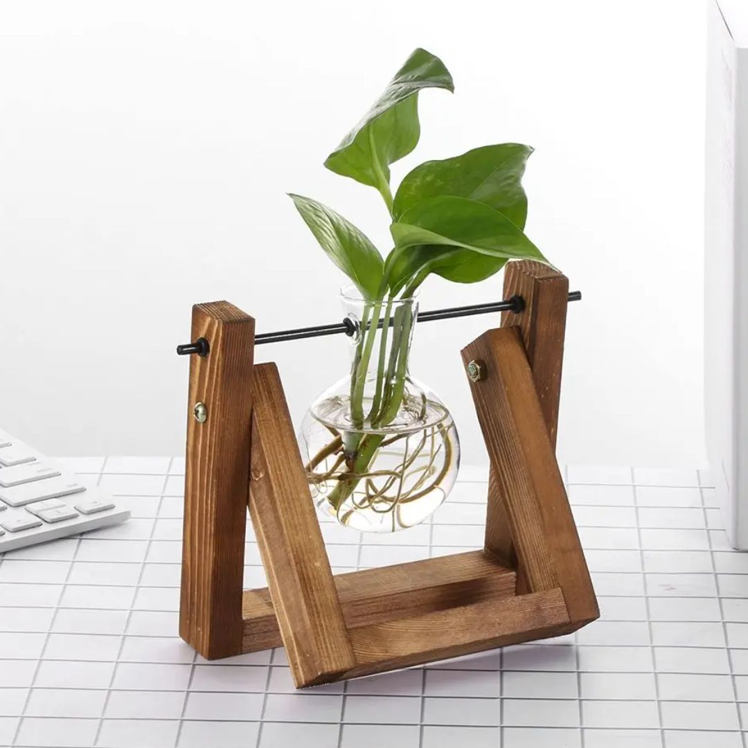 Hydroponischer Blumentopf mit Holztablett