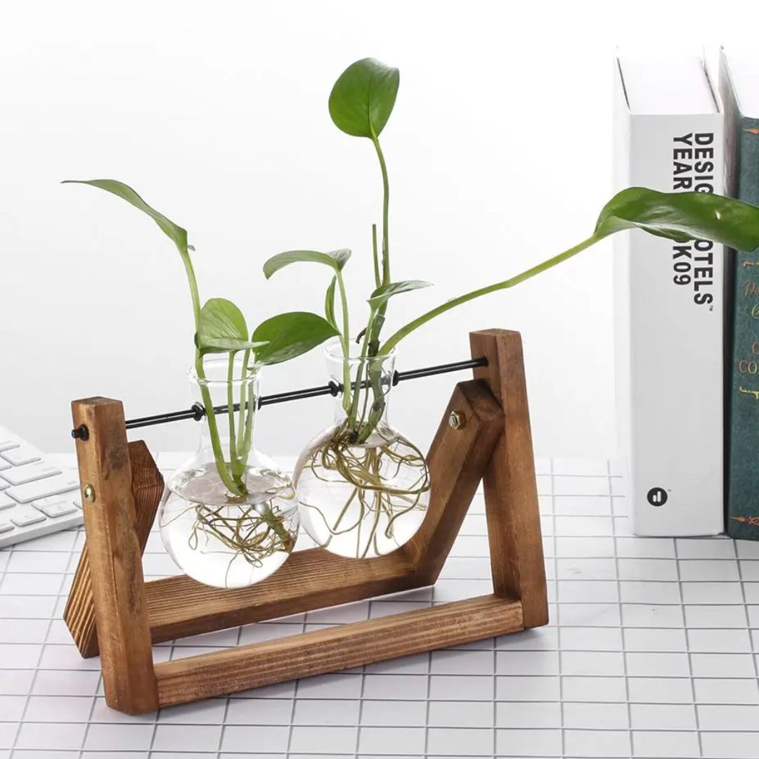 Hydroponischer Blumentopf mit Holztablett