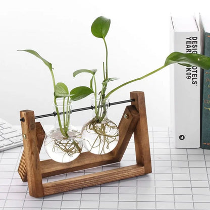 Hydroponischer Blumentopf mit Holztablett