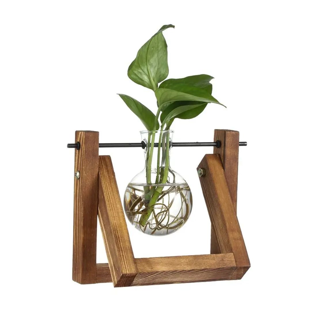 Hydroponischer Blumentopf mit Holztablett
