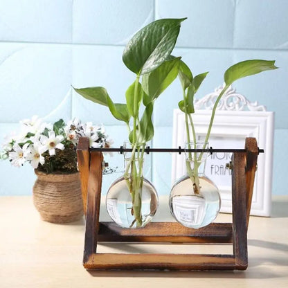 Hydroponischer Blumentopf mit Holztablett