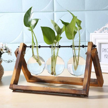 Hydroponischer Blumentopf mit Holztablett