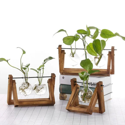 Hydroponischer Blumentopf mit Holztablett
