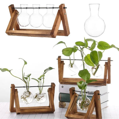 Hydroponischer Blumentopf mit Holztablett