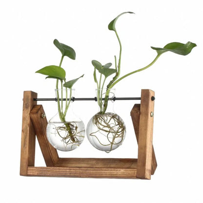 Hydroponischer Blumentopf mit Holztablett