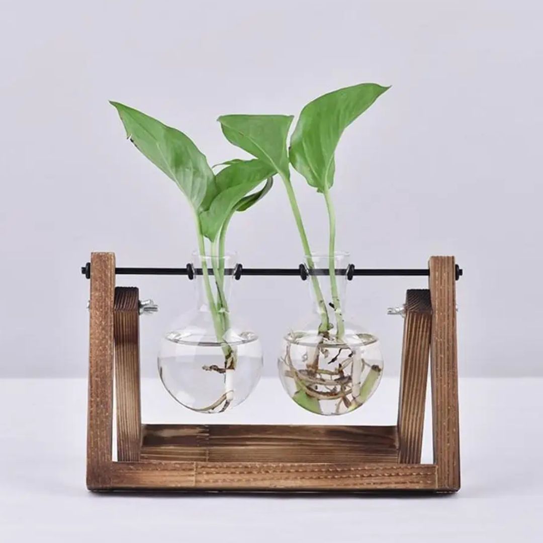 Hydroponischer Blumentopf mit Holztablett