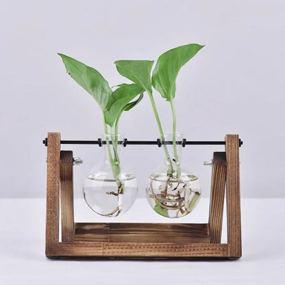 Hydroponischer Blumentopf mit Holztablett